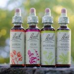 bach-original-flower-remedies-modern-look